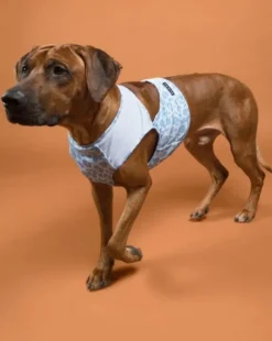 PAIKKA Cool Vest viilennysliivi, S-M, Snow Leo