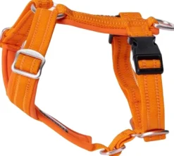 PAIKKA Easy Harness valjaat, S-L, Orange