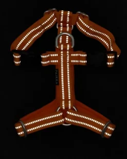 PAIKKA Easy Harness valjaat, S-L, Orange