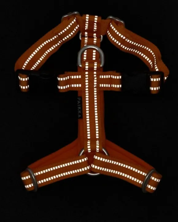 PAIKKA Easy Harness valjaat, S-L, Orange