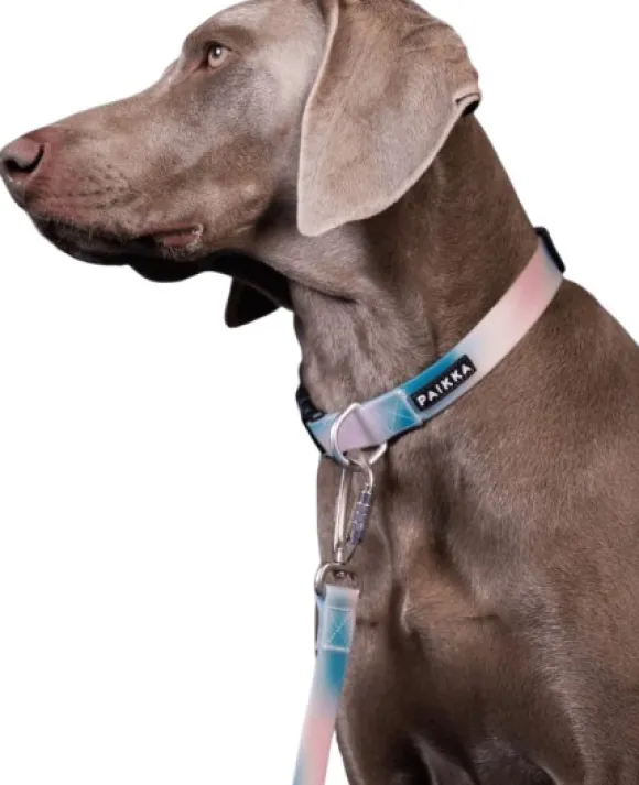 PAIKKA Glow Collar kaulapanta, Ombre