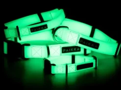 PAIKKA Glow Collar kaulapanta, 2x30-40 cm, White
