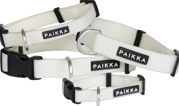 PAIKKA Glow Collar kaulapanta, 2,5x35-48 cm, White