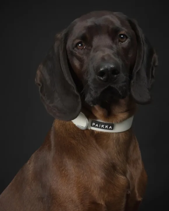 PAIKKA Glow Collar kaulapanta, 2,5x35-48 cm, White