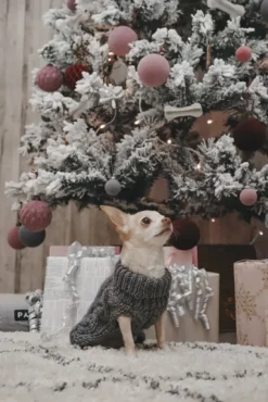 PAIKKA Handmade Knit koiran neulepusero, 20-30 cm, vaaleanruskea