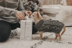 PAIKKA Handmade Knit koiran neulepusero, 45-50 cm, luonnonvalkoinen