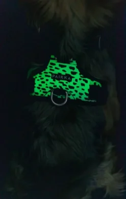 Paikka Harness 2.0 valjaat