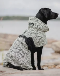 Paikka Raincoat 2.0 Fluorescent koiran sadetakki