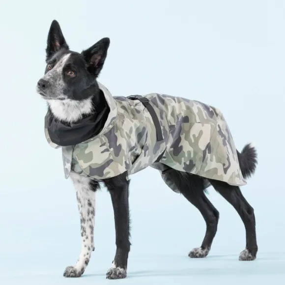 PAIKKA Recovery Raincoat koiran sadetakki, 35-50 cm, Camo