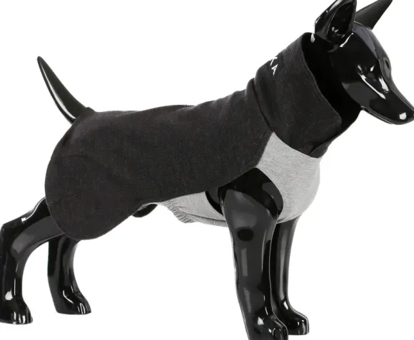 PAIKKA Recovery Winter Shirt koiran pusero, 55-60 cm, harmaa