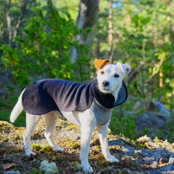 PAIKKA Recovery Winter Shirt koiran pusero, 55-60 cm, harmaa