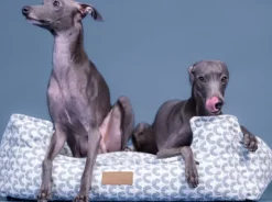 PAIKKA Treasure Bed Blue 110 x 80 cm