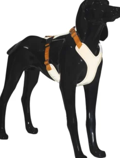 PAIKKA Visibility Harness koiran valjaat, S, oranssi