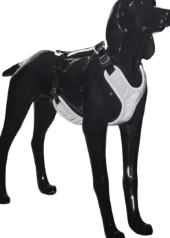 PAIKKA Visibility Harness koiran valjaat, M-L, Dark