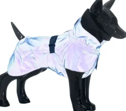 PAIKKA Visibility Raincoat koiran sadetakki, 55 - 60 cm, sininen