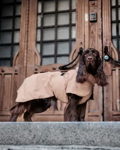 PAIKKA Visibility Raincoat Lite Taupe 55-60 cm