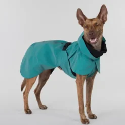 PAIKKA Visibility Raincoat koiran sadetakki, 30 cm, petrooli