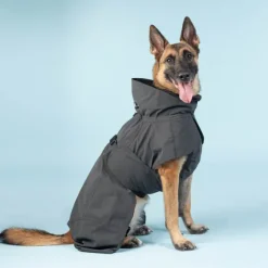 PAIKKA Visibility Raincoat koiran sadetakki, 30 cm, harmaa