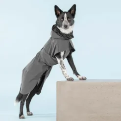 PAIKKA Visibility Raincoat koiran sadetakki, 30 cm, harmaa