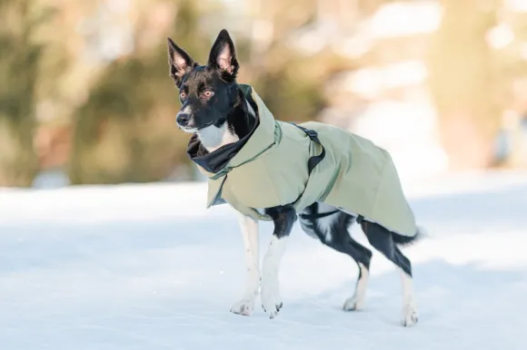 PAIKKA Visibility Winter Jacket talvitakki infrapunakangasvuorilla, 30 cm, lila