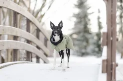 PAIKKA Visibility Winter Jacket talvitakki infrapunakangasvuorilla, 30 cm, lila