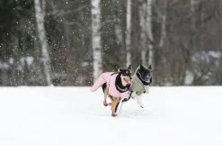 PAIKKA Visibility Winter Jacket talvitakki infrapunakangasvuorilla, 55-60 cm, tummanharmaa