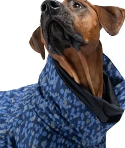 Paikka Winter Suit koiran takki, Blue