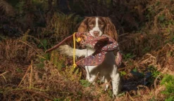 PAW of Sweden Pheasant Bird Dummy Wings/Tail 650 g