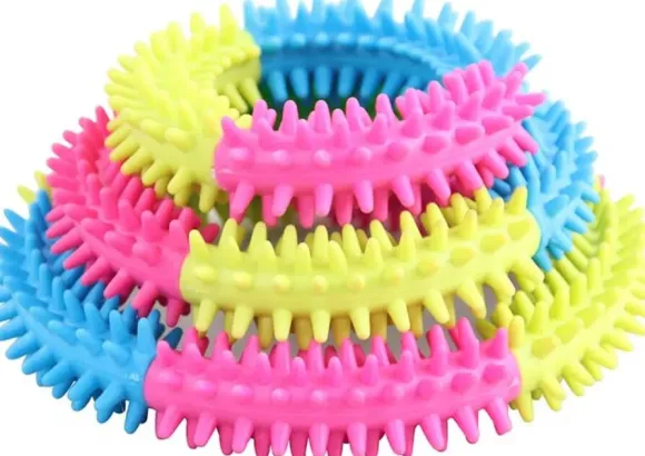 Pawise Koiranlelu Rainbow World Ring Ø15,5 cm