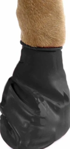 Pawz Dog Boots Black XS