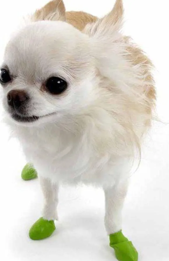 Pawz Dog Boots Color Apple Green Tiny