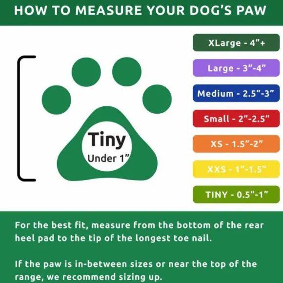 Pawz Dog Boots Color Apple Green Tiny