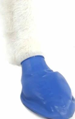 Pawz Dog Boots Color Blue M