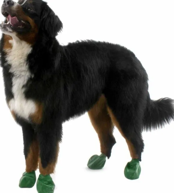 Pawz Dog Boots Color Green XL