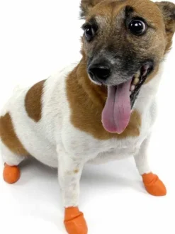 Pawz Dog Boots Color Orange XS