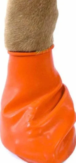 Pawz Dog Boots Color Orange XS