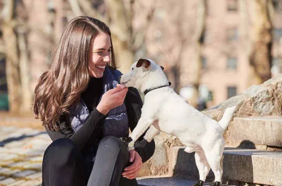 Pawz Dog Boots Color Orange XS