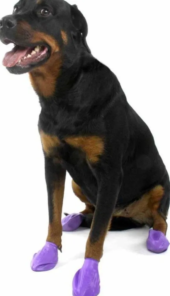 Pawz Dog Boots Color Purple L