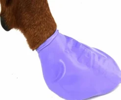 Pawz Dog Boots Color Purple L