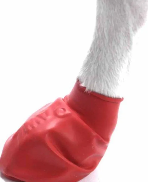 Pawz Dog Boots Color Red S