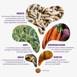 Petgood hyönteispohjainen koiranruoka 2 kg