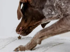 Petgood makupalat koirille, 100 g