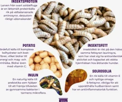 Petgood märkäruoka aikuisille koirille, 300 g