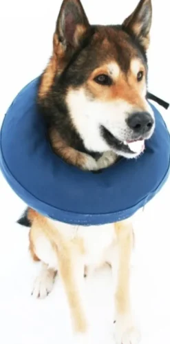 PetNation Iho-/haava-/korvasuihke PetNation Easy Care 100 ml