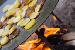 Petromax Griddle and Fire Bowl 48 cm Fs48