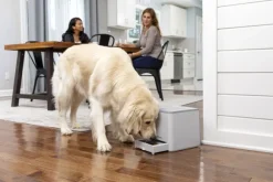 PetSafe Teach & Treat Remote Reward Trainer kauko-ohjattava palkitsemislaite