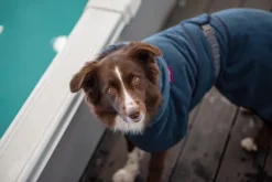 Pomppa BathPomppa Midnight 25-28 cm