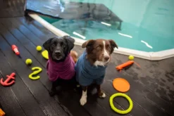 Pomppa BathPomppa Plum 52-56 cm