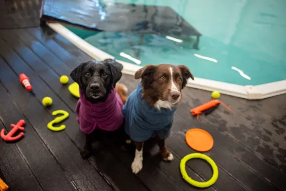 Pomppa BathPomppa Plum 70-75 cm