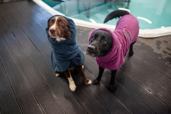 Pomppa BathPomppa Plum 70-75 cm